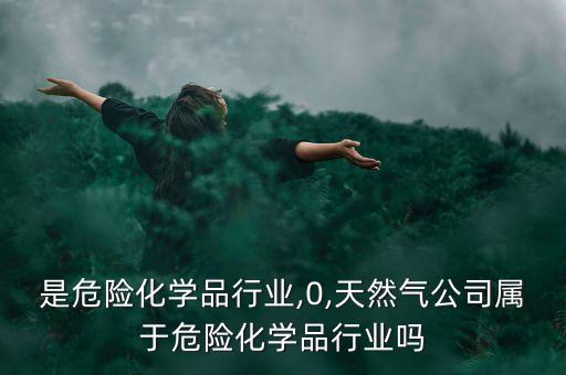 那些是危险化学品行业,0,天然气公司属于危险化学品行业吗