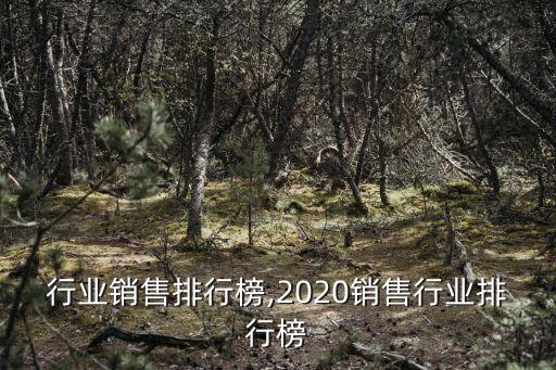 行业销售排行榜,2020销售行业排行榜