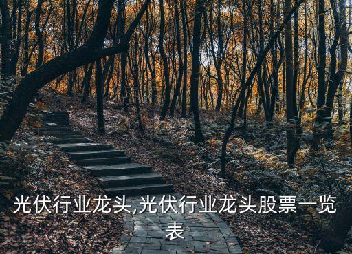 中国光伏行业龙头,光伏行业龙头股票一览表