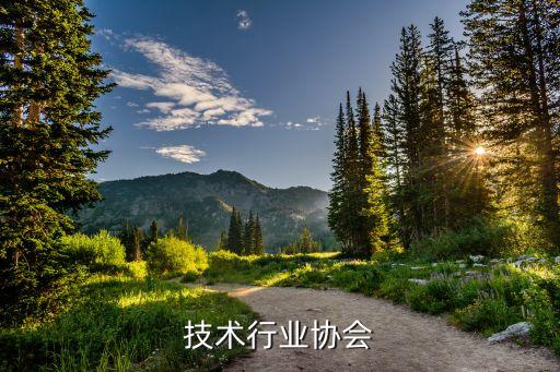 技术行业协会