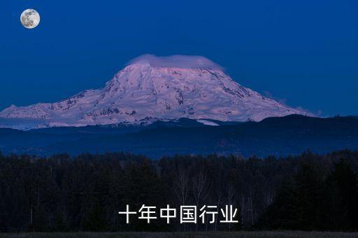 十年中国行业