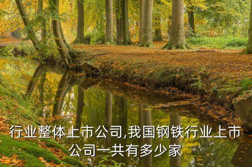 钢铁行业整体上市公司,我国钢铁行业上市公司一共有多少家