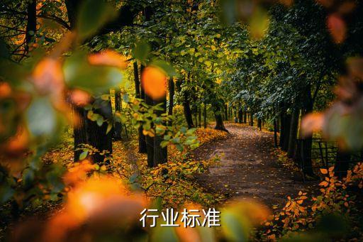 行业标准