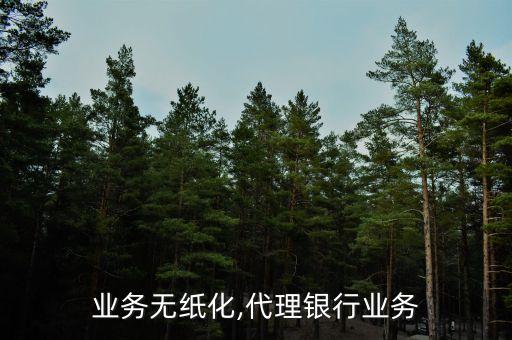 银行业务无纸化,代理银行业务