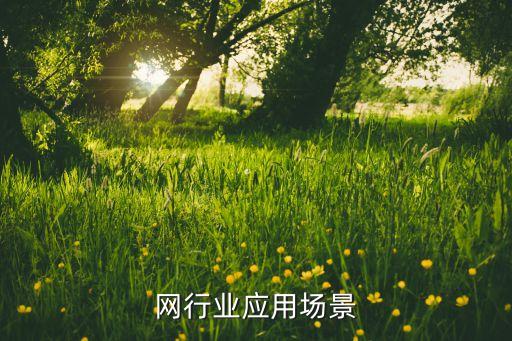网行业应用场景