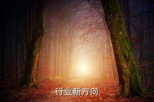 建筑行业新方向
