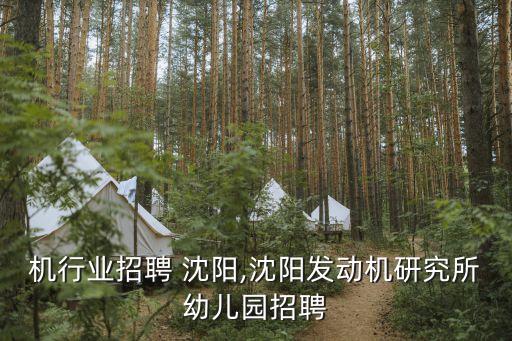 发动机行业招聘 沈阳,沈阳发动机研究所幼儿园招聘
