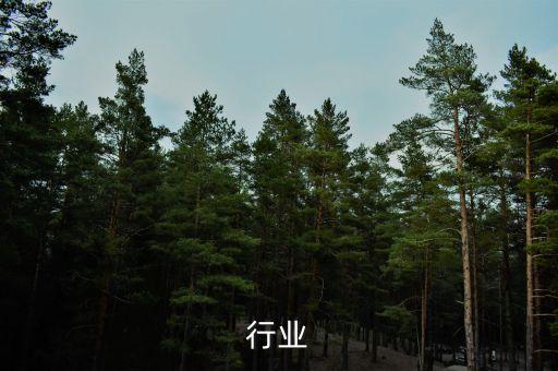 线缆行业