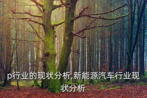 p行业的现状分析,新能源汽车行业现状分析