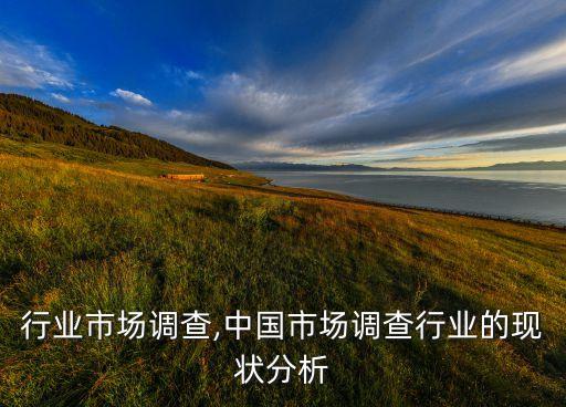 行业市场调查,中国市场调查行业的现状分析