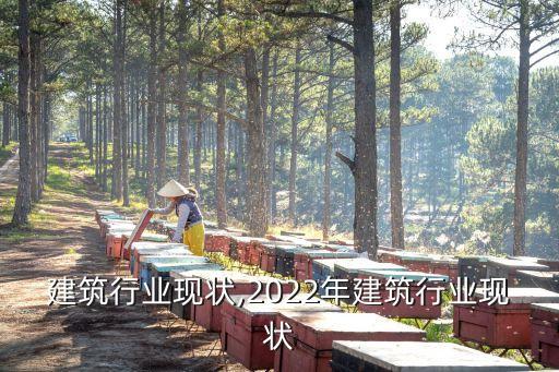 建筑行业现状,2022年建筑行业现状