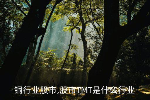 中国铜行业股市,股市TMT是什么行业