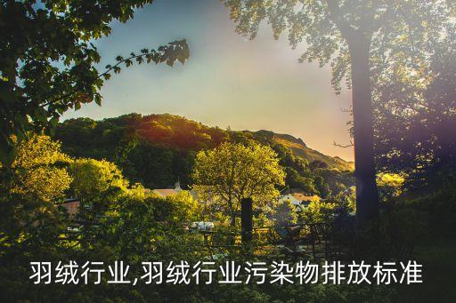 羽绒行业,羽绒行业污染物排放标准