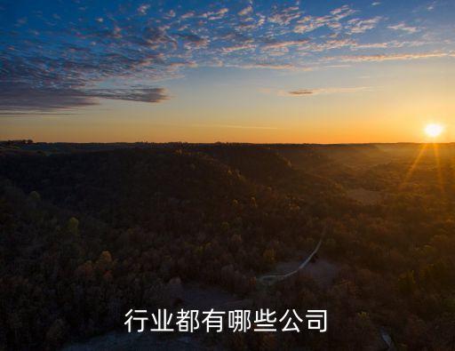 行业都有哪些公司