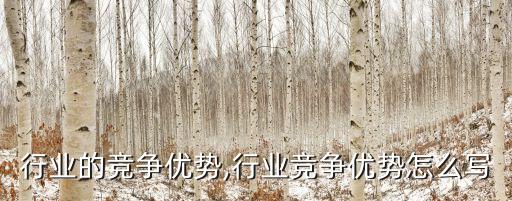 窗帘行业的竞争优势,行业竞争优势怎么写