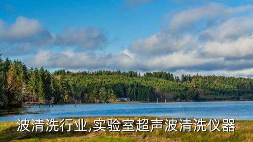 超声波清洗行业,实验室超声波清洗仪器