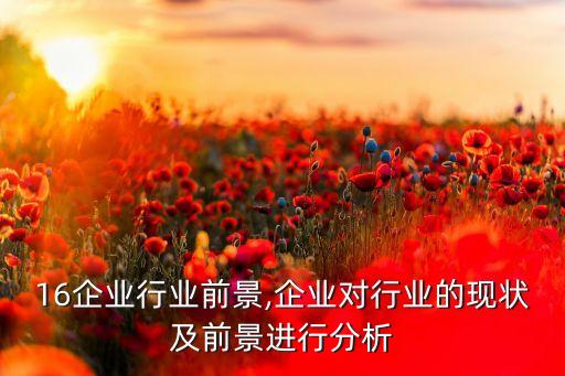 2016企业行业前景,企业对行业的现状及前景进行分析