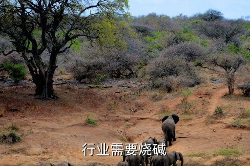 行业需要烧碱