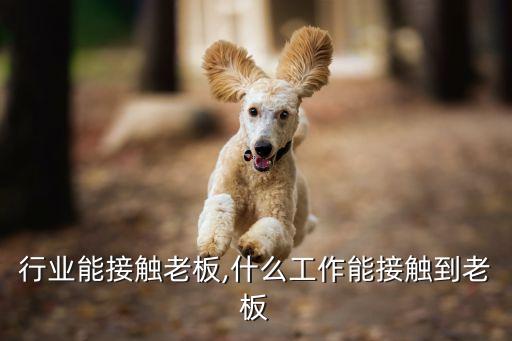 行业能接触老板,什么工作能接触到老板