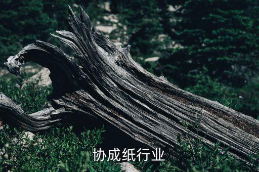 协成纸行业