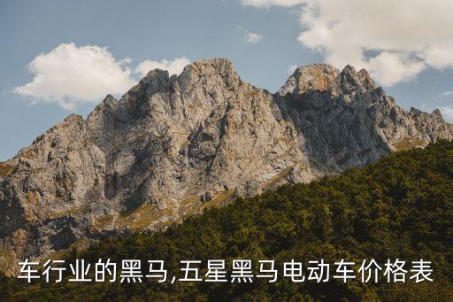 车行业的黑马,五星黑马电动车价格表