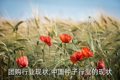 团购行业现状,中国种子行业的现状