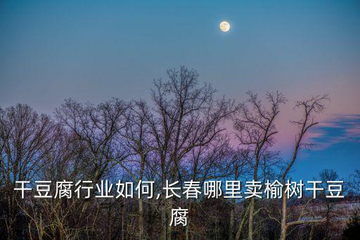 长春干豆腐行业如何,长春哪里卖榆树干豆腐