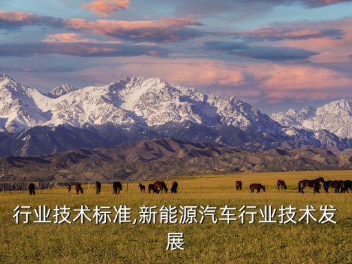 行业技术标准,新能源汽车行业技术发展