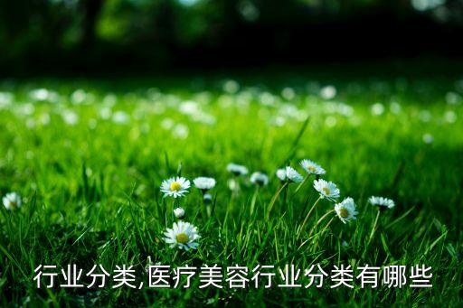 医疗 行业分类,医疗美容行业分类有哪些