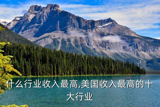 美国什么行业收入最高,美国收入最高的十大行业