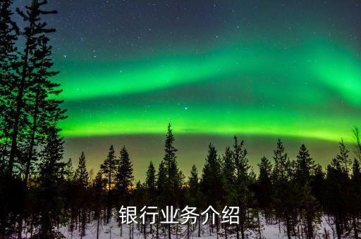 招商银行业务介绍