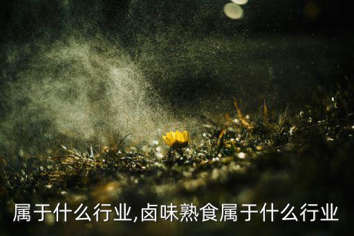 熟食属于什么行业,卤味熟食属于什么行业