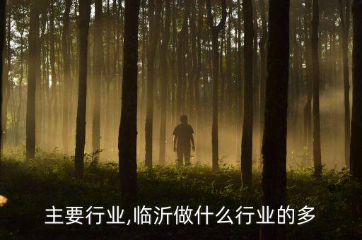 临沂主要行业,临沂做什么行业的多