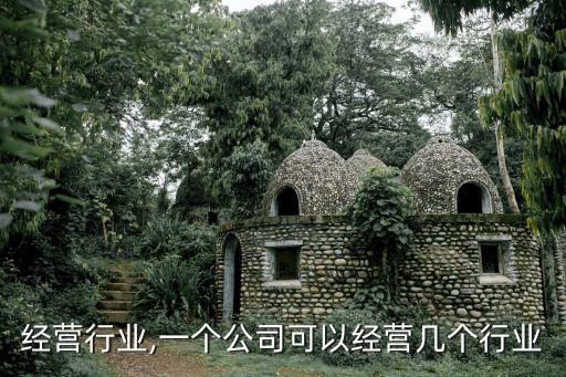 热门经营行业,一个公司可以经营几个行业