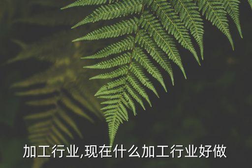 加工行业,现在什么加工行业好做