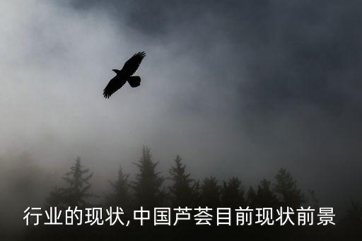 行业的现状,中国芦荟目前现状前景