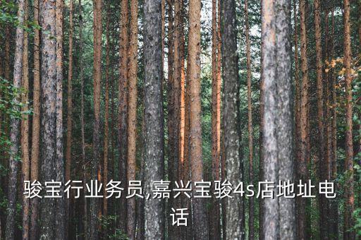 嘉兴骏宝行业务员,嘉兴宝骏4s店地址电话