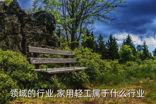 领域的行业,家用轻工属于什么行业