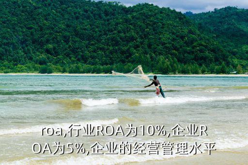 roa,行业ROA为10%,企业ROA为5%,企业的经营管理水平