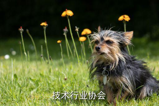 技术行业协会