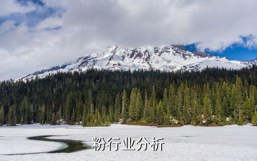 滑石粉行业分析