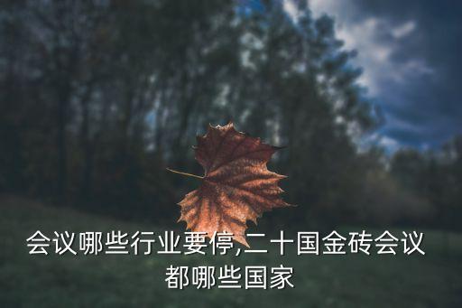 金砖会议哪些行业要停,二十国金砖会议 都哪些国家