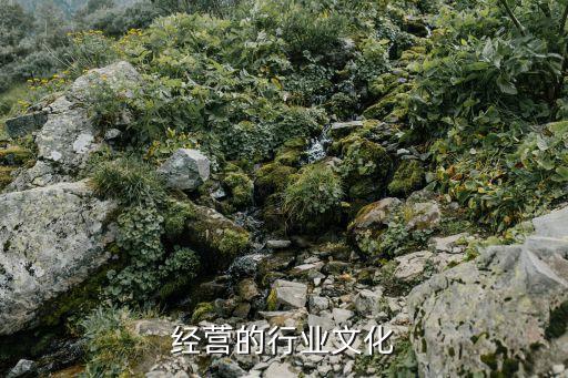 经营的行业文化