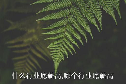 什么行业底薪高,哪个行业底薪高