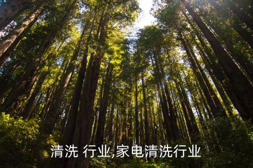 设备清洗 行业,家电清洗行业