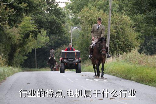 电机行业的特点,电机属于什么行业