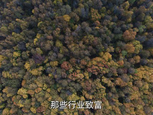 那些行业致富