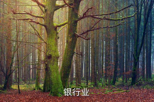 银行业