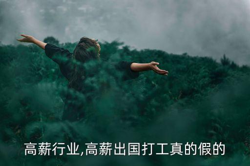 高薪行业,高薪出国打工真的假的