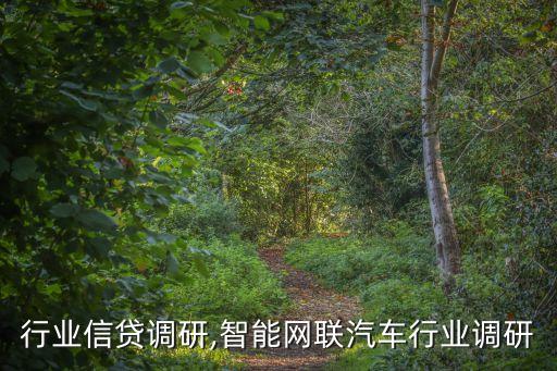 汽车行业信贷调研,智能网联汽车行业调研